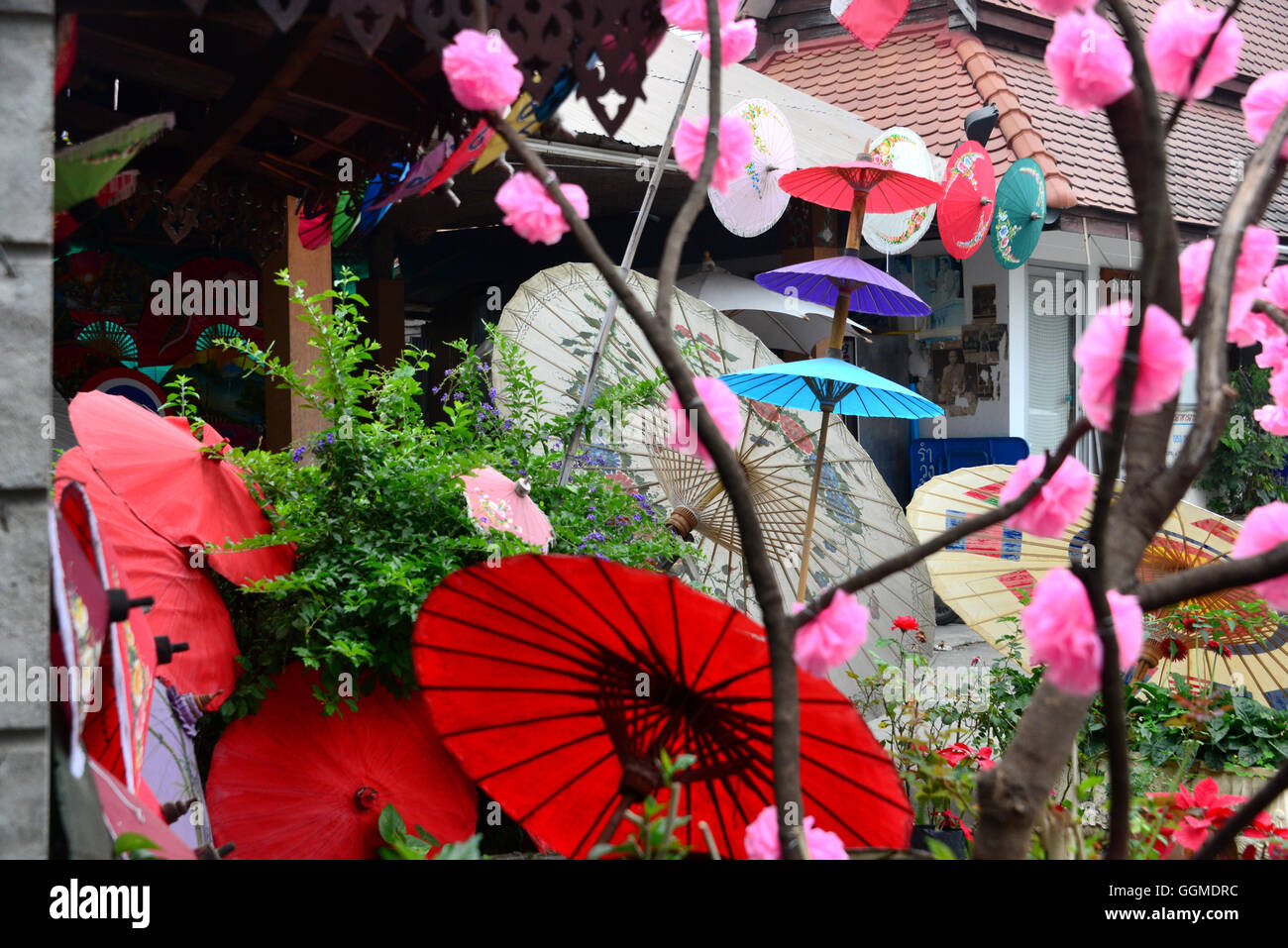 Umbrellas in Bo Sang near Chiang Mai, North-Thailand, Thailand Stock Photo