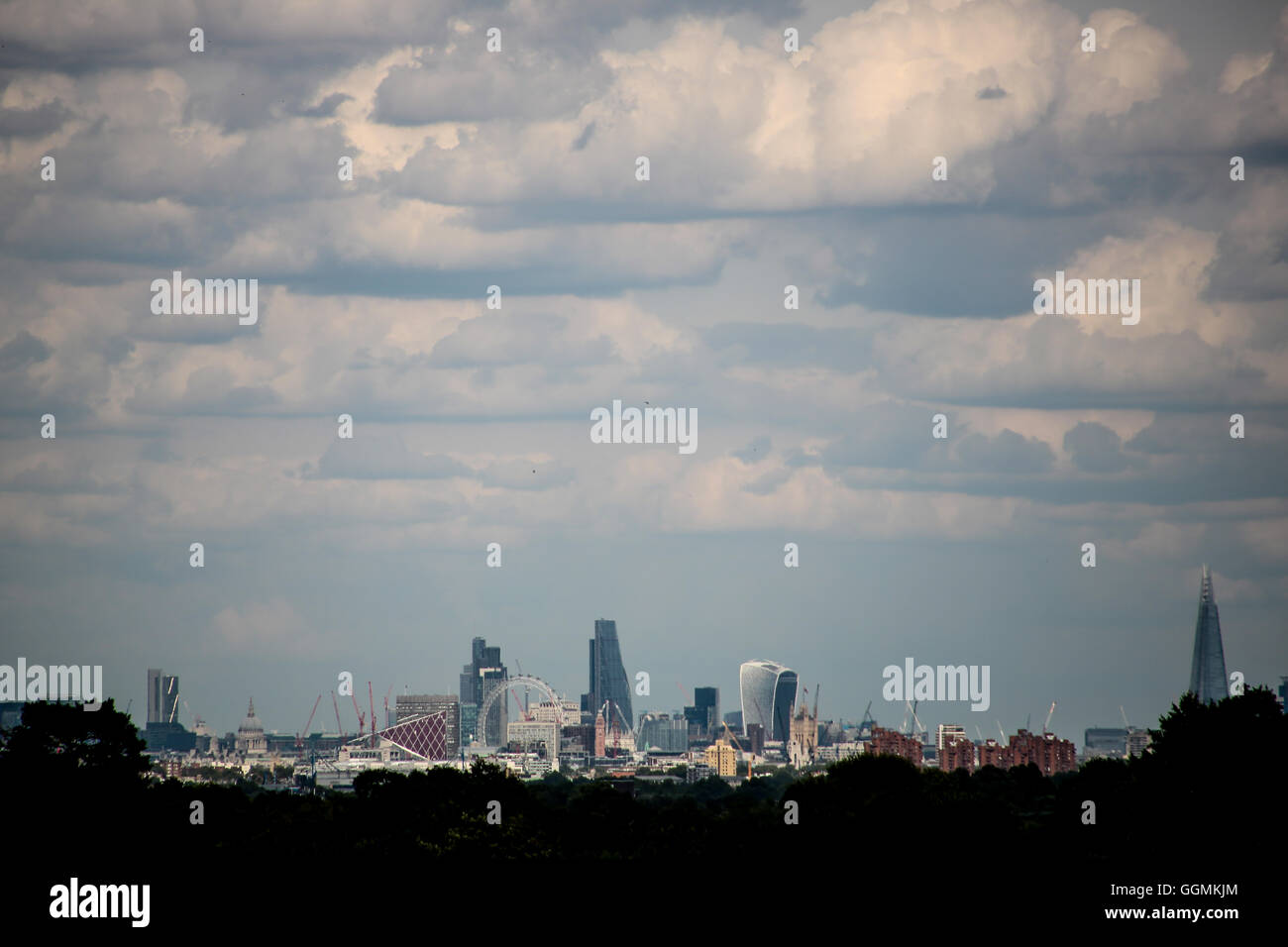 A skyline view of the City of London from Richmond Park in London Stock Photo