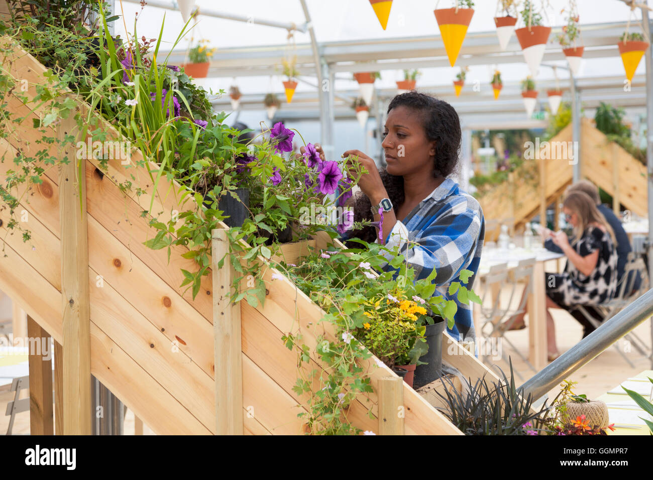 30th July 2016 - Farmopolis at the Jetty at Greenwich Peninsula displaying left over flowers and plants from Chelsea Flower Show Stock Photo