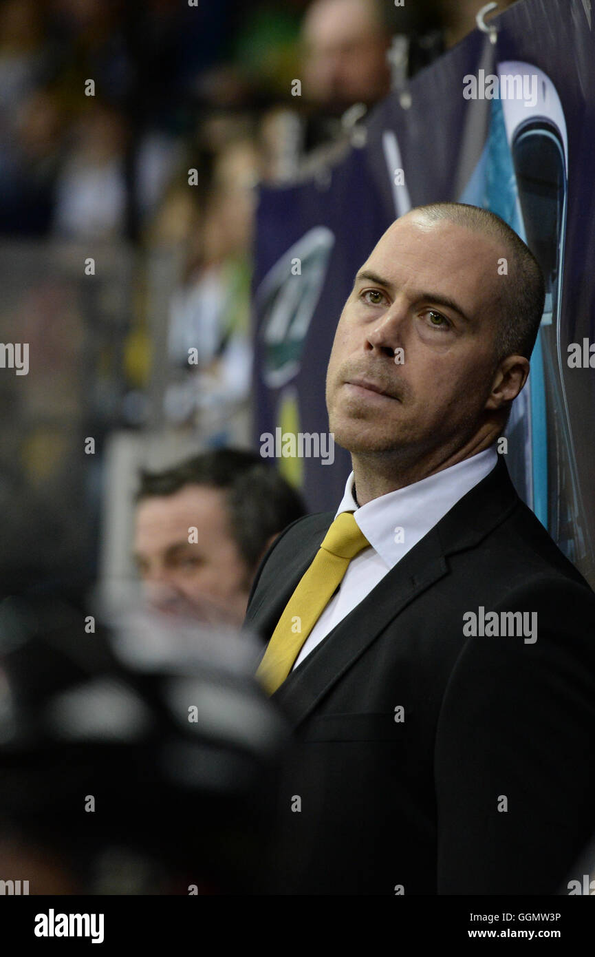 Corey Neilson, head coach of the GMB Nottingham Panthers looks on from the home bench. Stock Photo