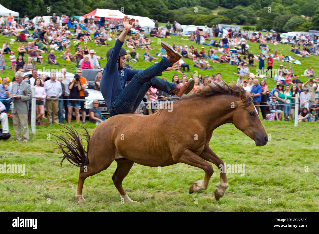 Horse Shows Uk High Resolution Stock Photography and Images Alamy