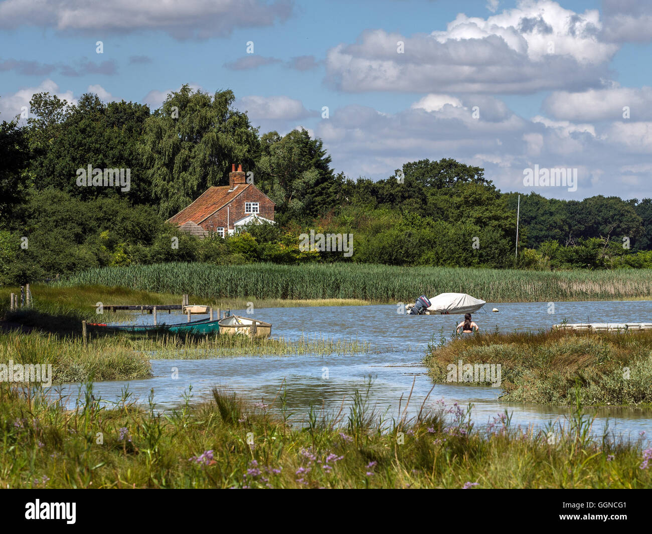 Woman Swimming in the River Alde Stock Photo