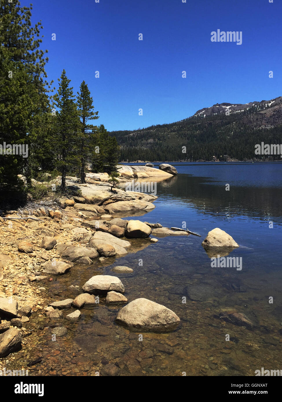 SILVER LAKE in the high Sierra along Highway 88 - CALIFORNIA Stock Photo
