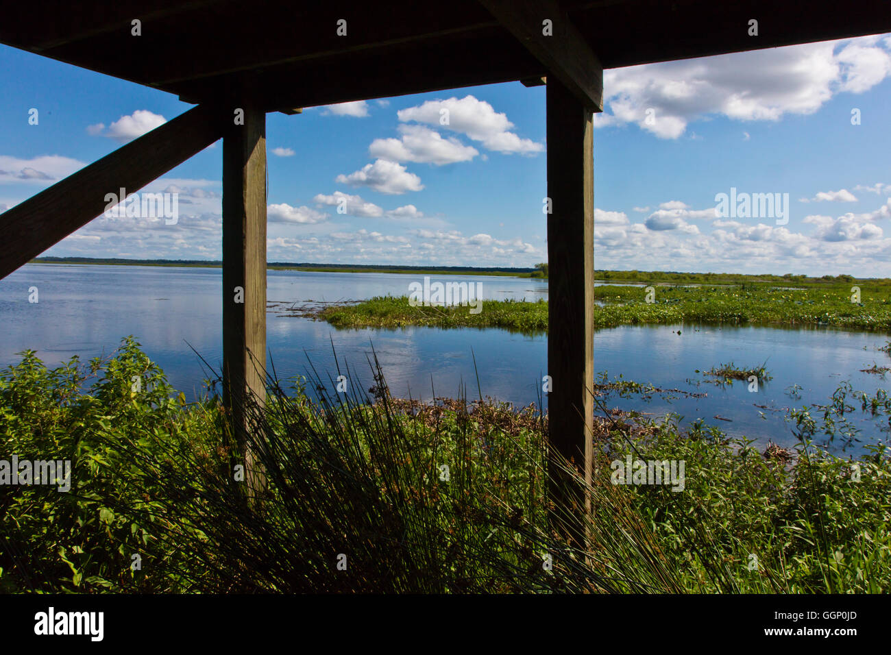 Viewing structure at the end of the La Chua Trail at PAYNES PRAIRIE  PRESERVE STATE PARK - GAINESVILLE, FLORIDA Stock Photo