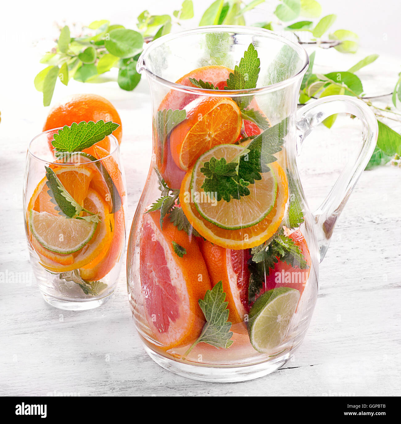 Pitcher and glass with fresh citrus fruits and mint. Stock Photo