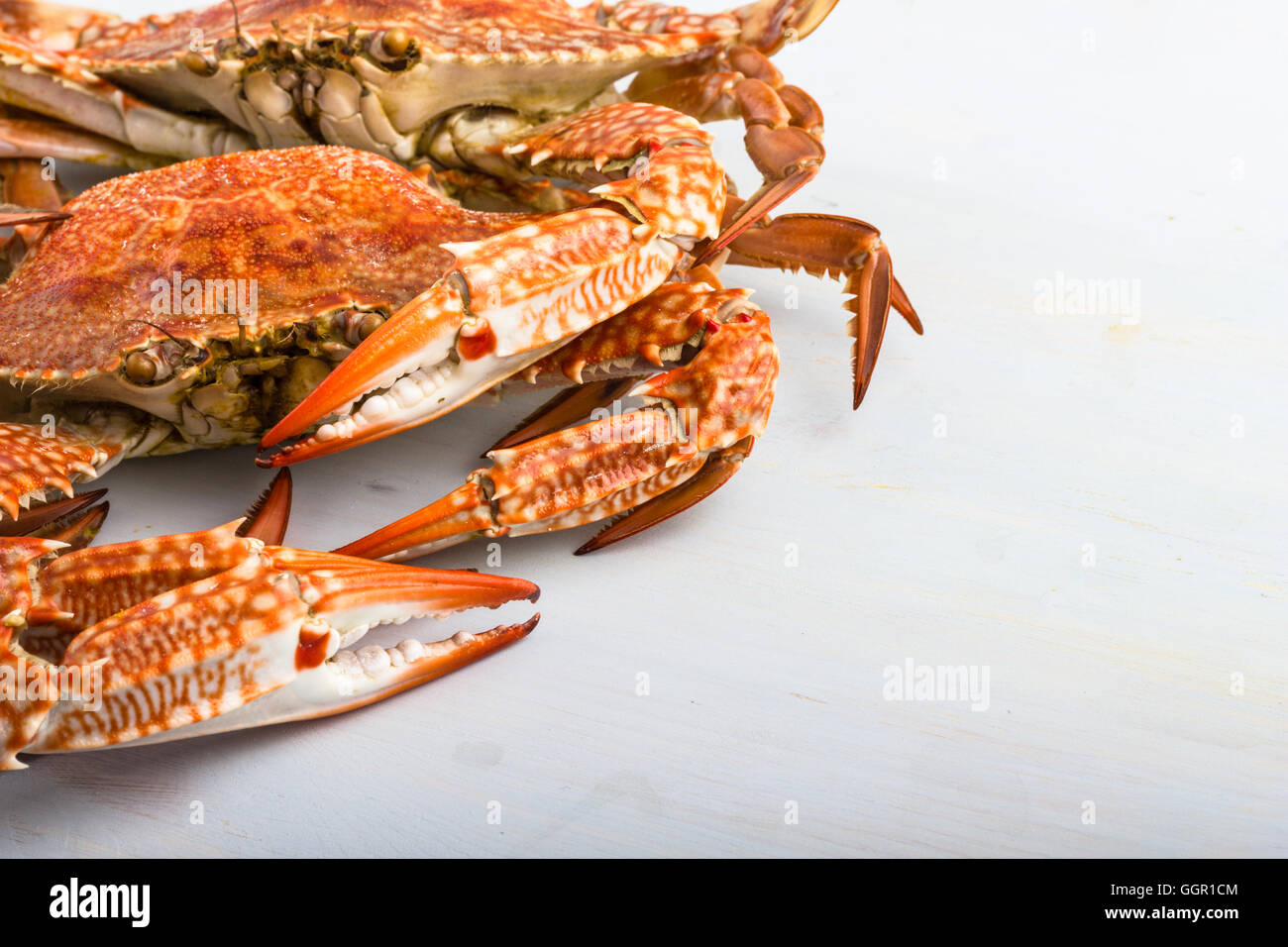 Cooked crabs stock image. Image of cooked, crabby, claws - 19137015 Good beaches in orlando