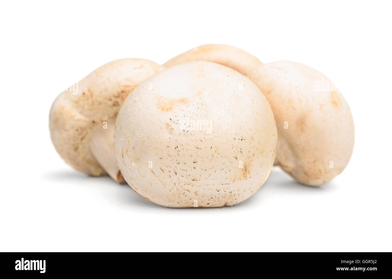Fresh mushroom champignon  isolated on white background Stock Photo