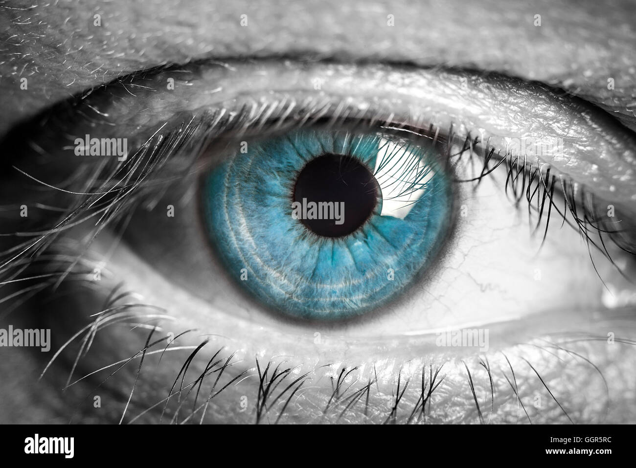 Eye macro. Macro image of human eye Stock Photo