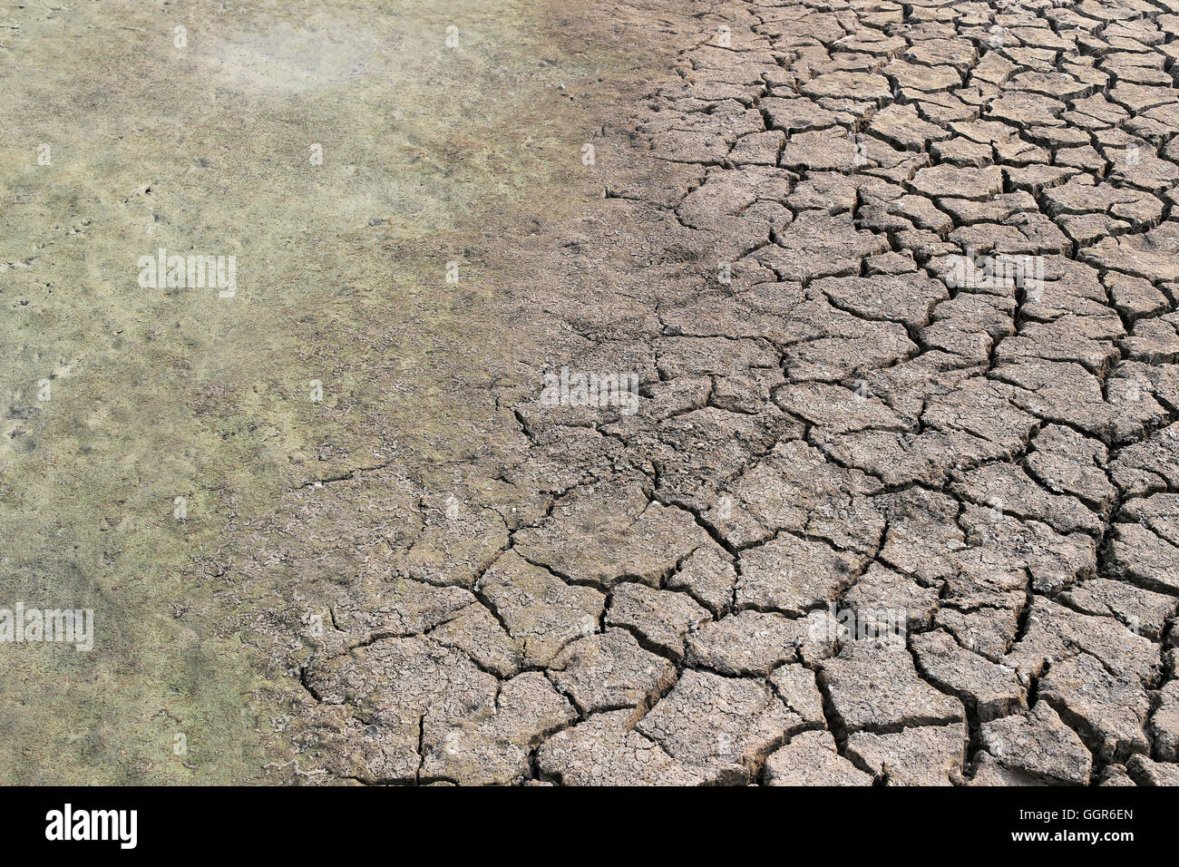 cracked earth and clay soil with water just to dry up because of the heat,countryside of Thailand. Stock Photo