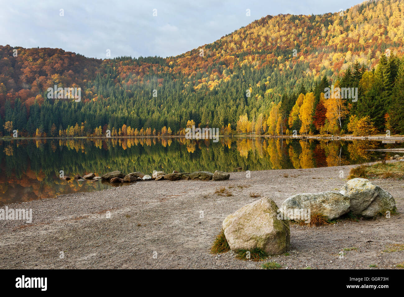 Pond woods sunlight rocks hi-res stock photography and images - Alamy