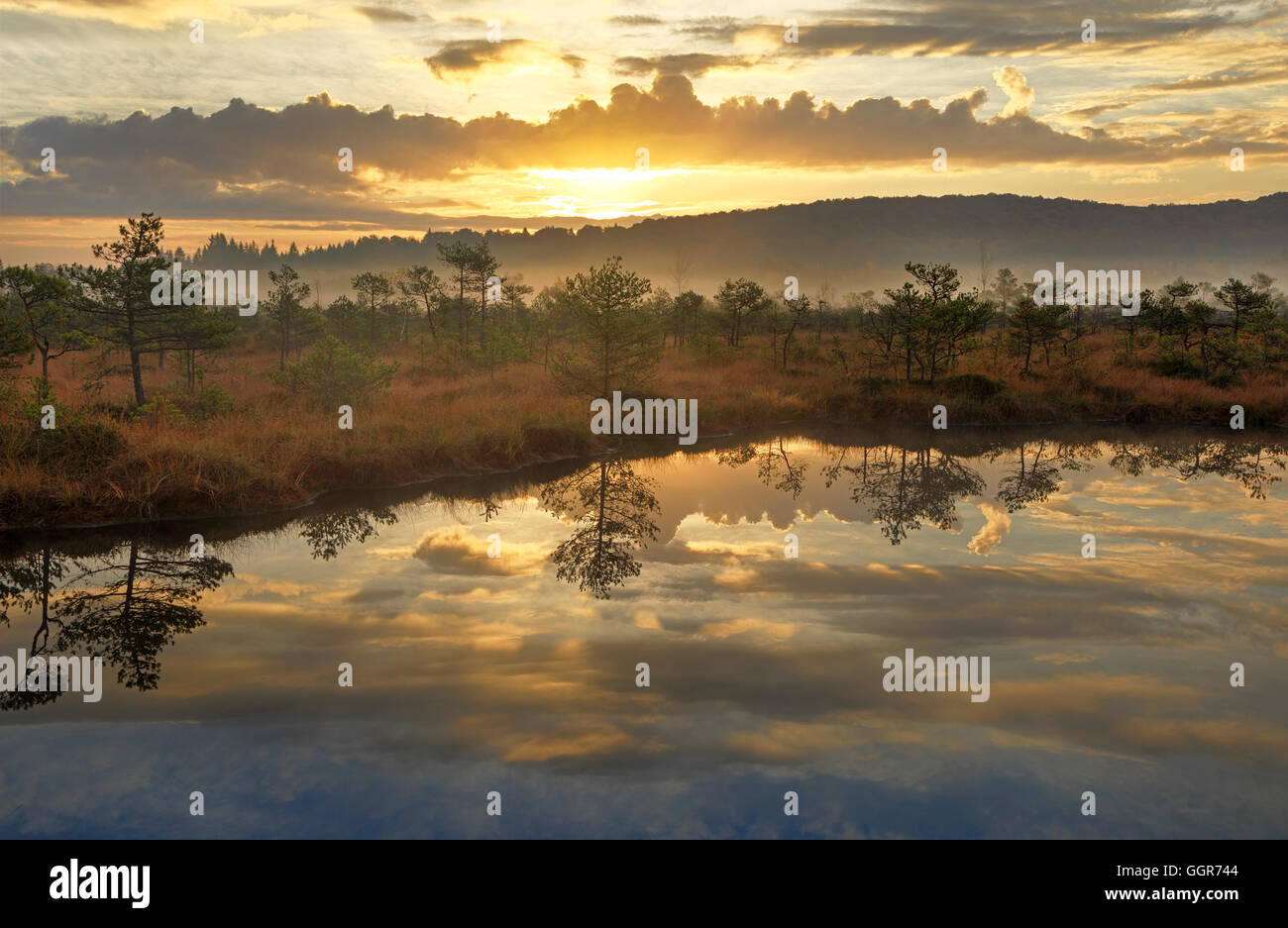 Golden haze over lake hi-res stock photography and images - Alamy