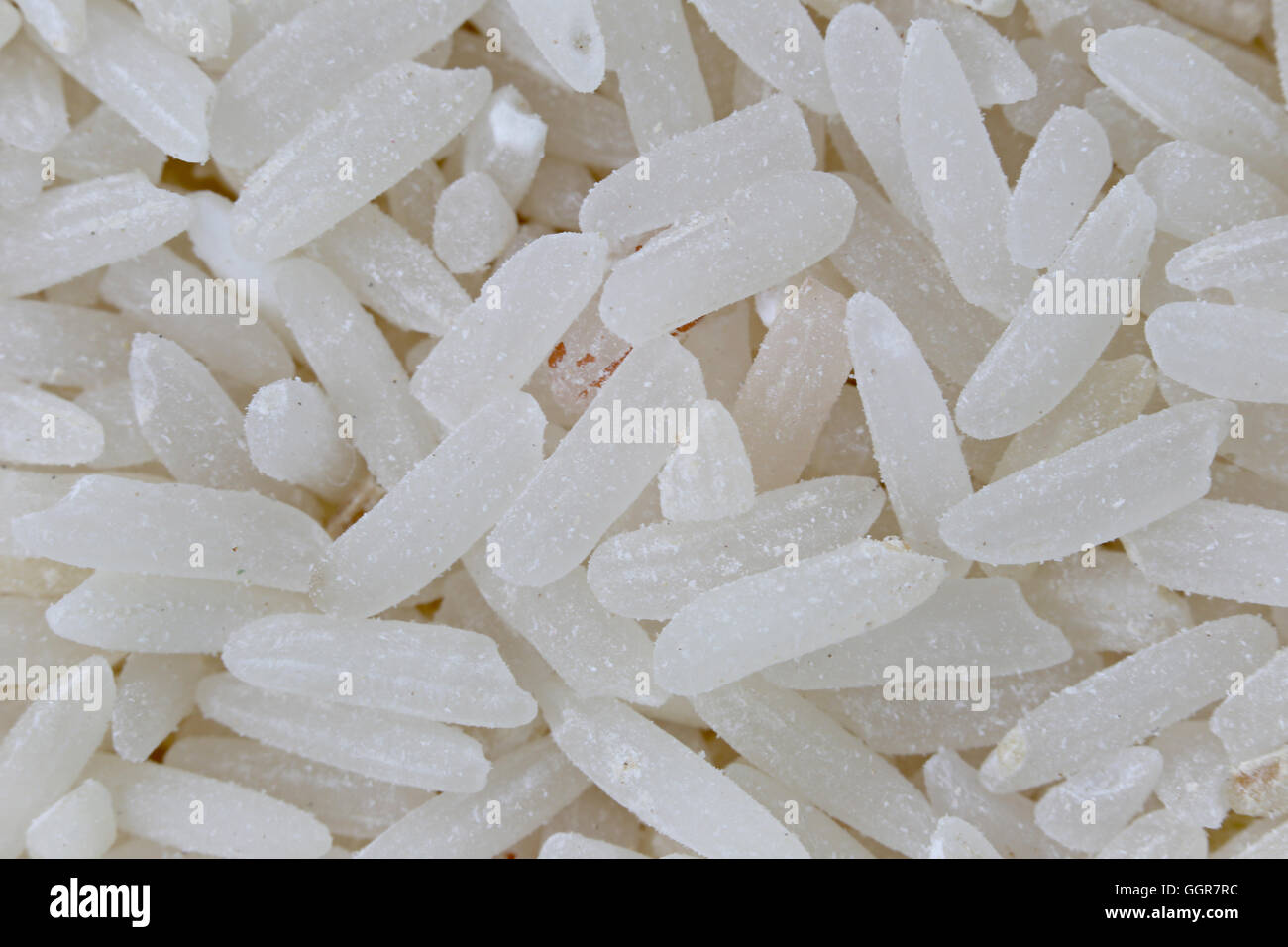 pile of organic rice for the nature food background,grain rice is insect weevil bite eat and get damaged. Stock Photo