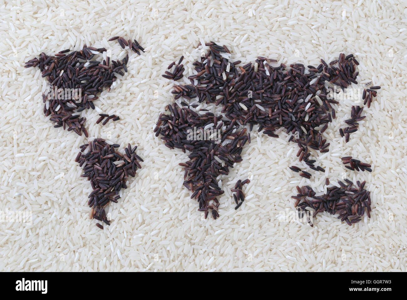 Organic rice sort the shaped like a world map on grain rice background concept for world food. Stock Photo