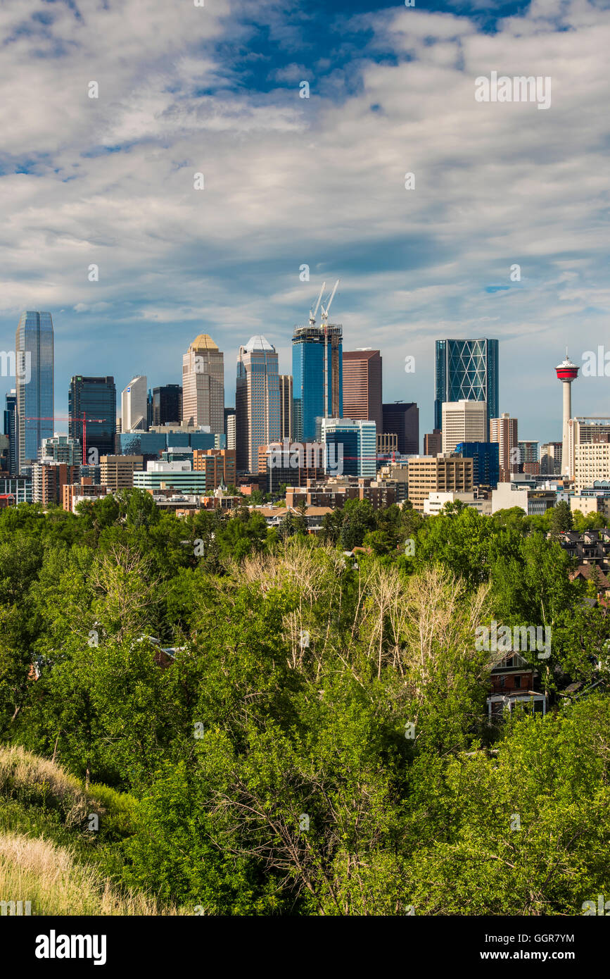 Downtown skyline, Calgary, Alberta, Canada Stock Photo