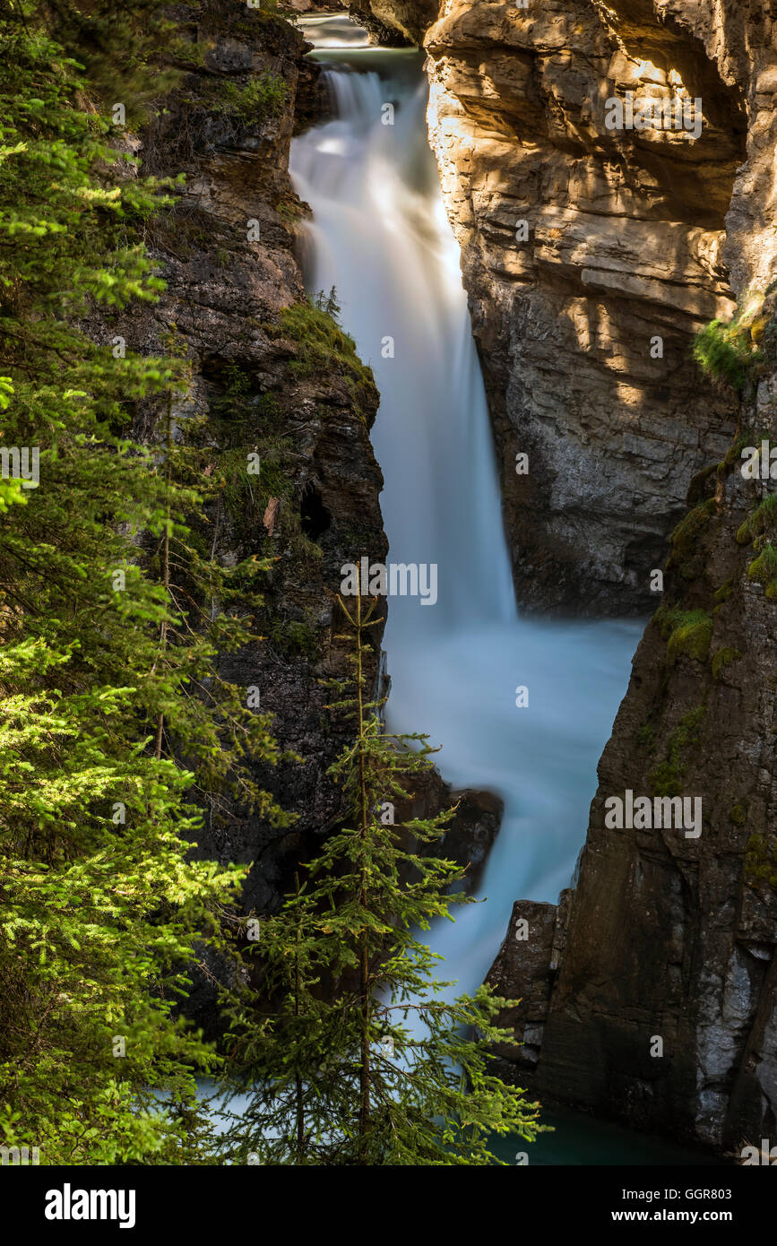 Johnston Canyon Lower Falls Banff National Park Alberta Canada Stock