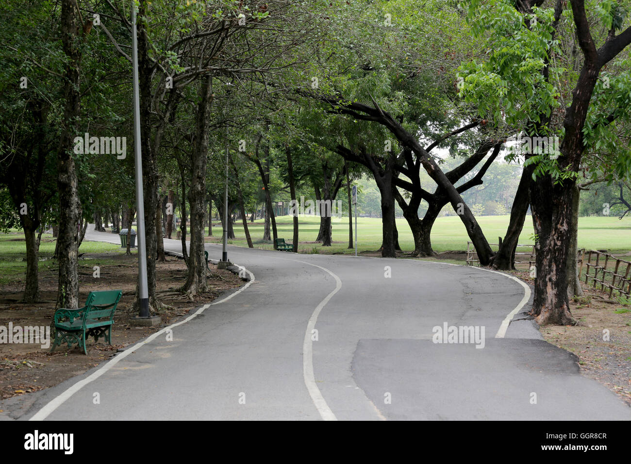 Road in the public park in day time. Stock Photo
