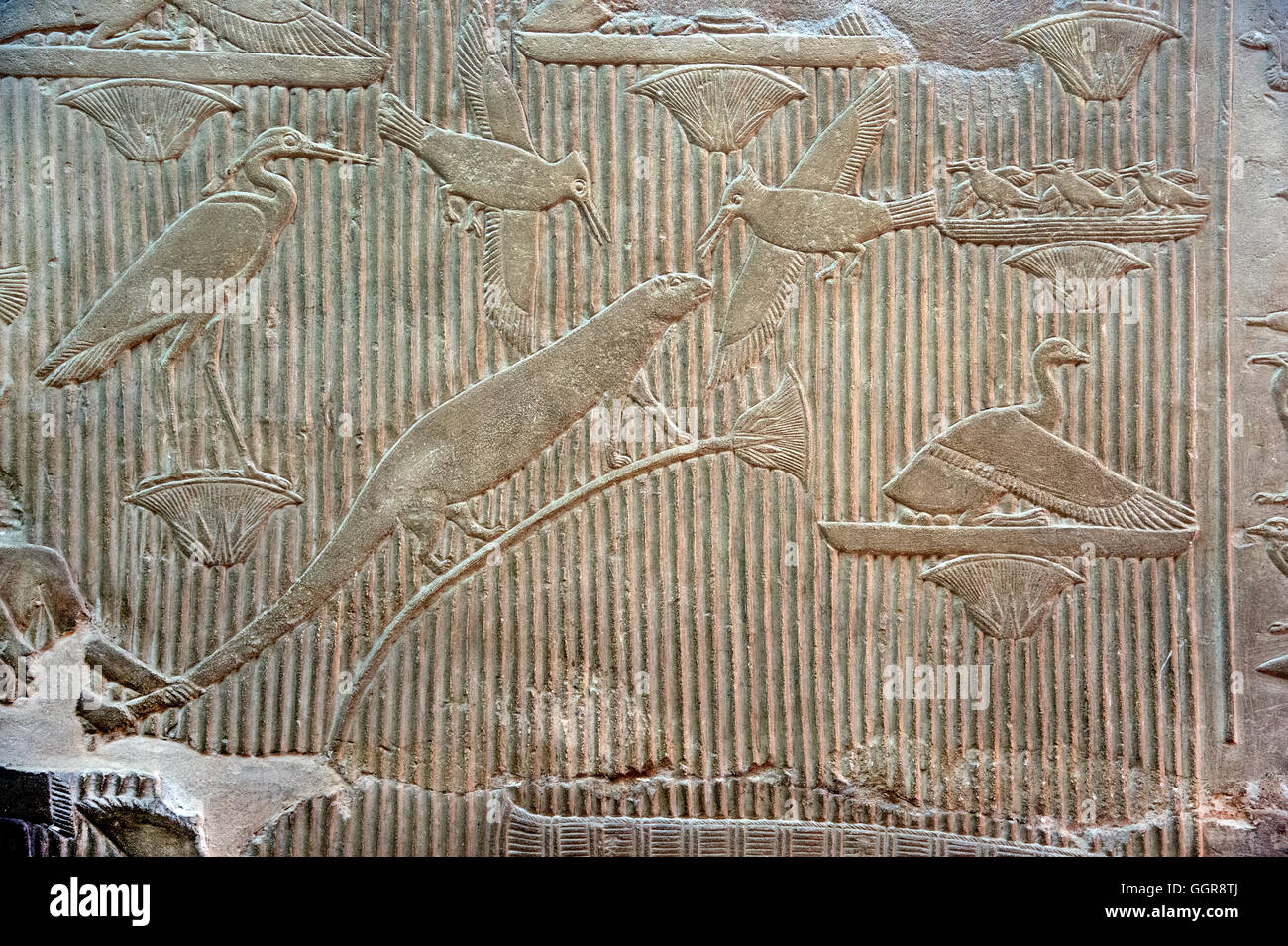 Egypt, Saqqara, mastaba of vizier Mereruka (VI°  dyn.): various reliefs on walls. Stock Photo