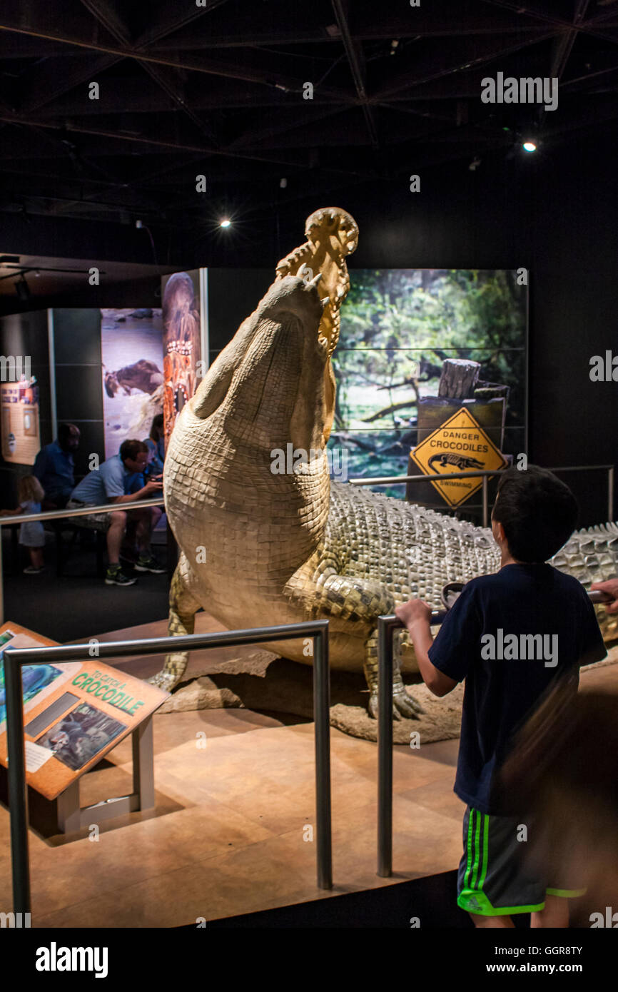 Unidentified people at  American Museum of Natural History in New York. Stock Photo