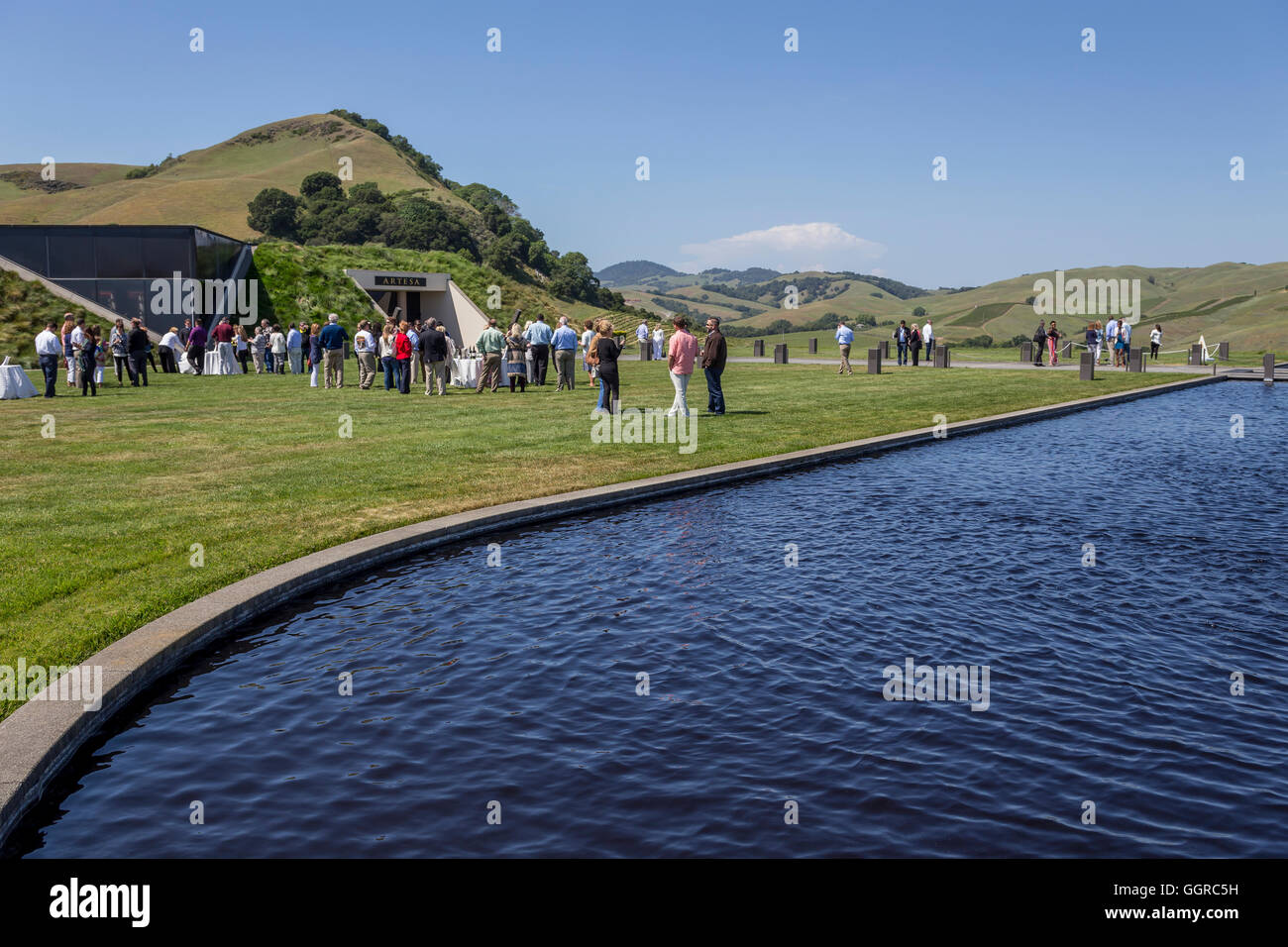 wine tasting, Artesa Vineyards and Winery, Carneros region, Napa Valley