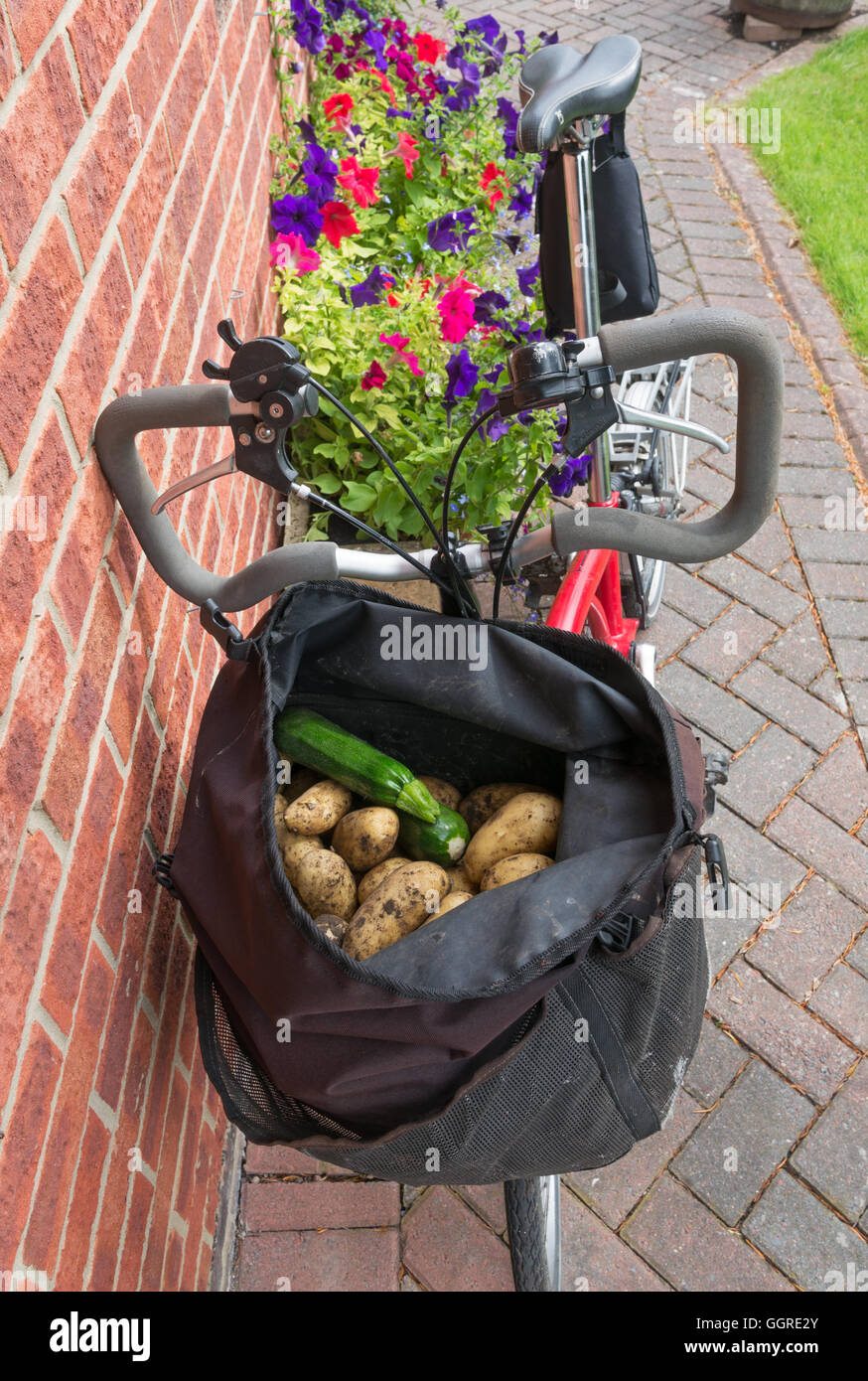 Garden produce carried in the bag of a Brompton bicycle, England, UK Stock Photo