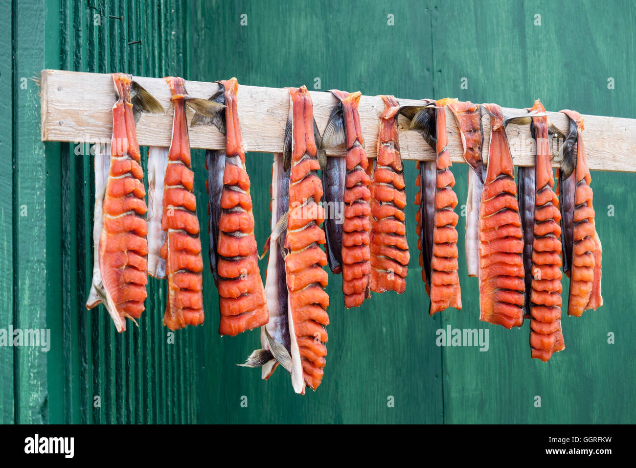 Skinned Arctic charr fish hung outside an Inuit house to dry. Itilleq, Qeqqata municipality, Western Greenland. Stock Photo