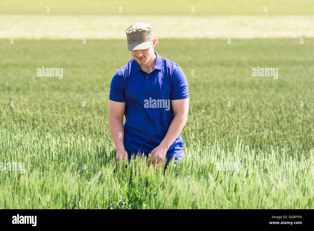 Farmer in wheat field hi-res stock photography and images - Alamy