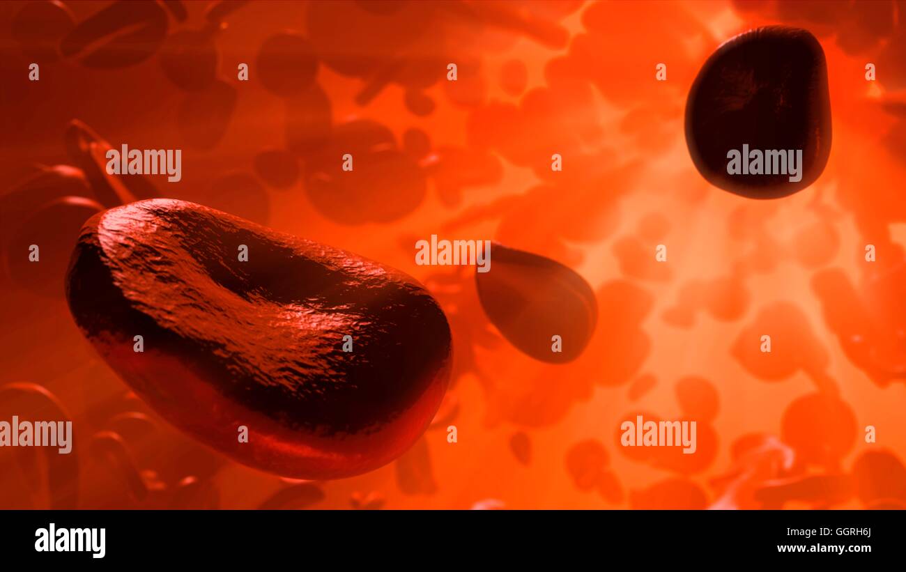 Illustration of red blood cells flowing inside an artery or vein. Red blood cells are biconcave, disc-shaped cells that transport oxygen from the lungs to body cells. They circulate in the blood and also export carbon dioxide to the lungs for exhalation. Stock Photo