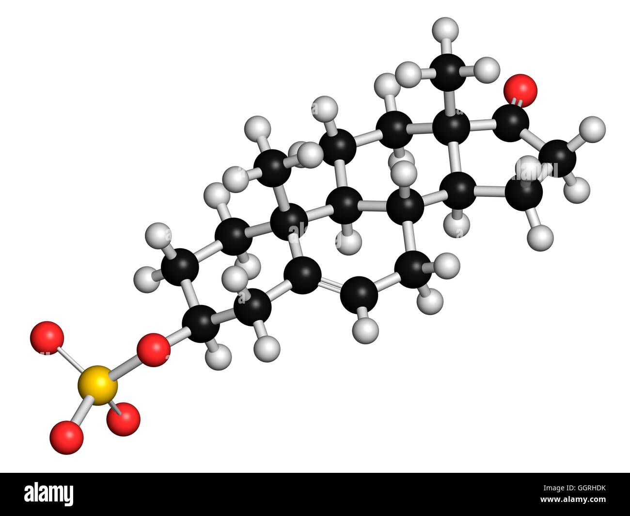Dehydroepiandrosterone sulfate (DHEAS) natural hormone, molecular