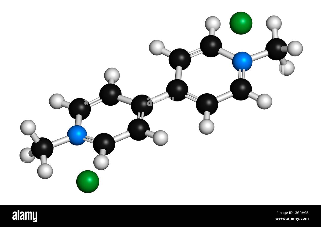 Paraquat herbicide molecule 3D rendering. Atoms are represented as spheres  with conventional colour coding: hydrogen (white), carbon (black), nitrogen  (blue). Illustration Stock Photo - Alamy