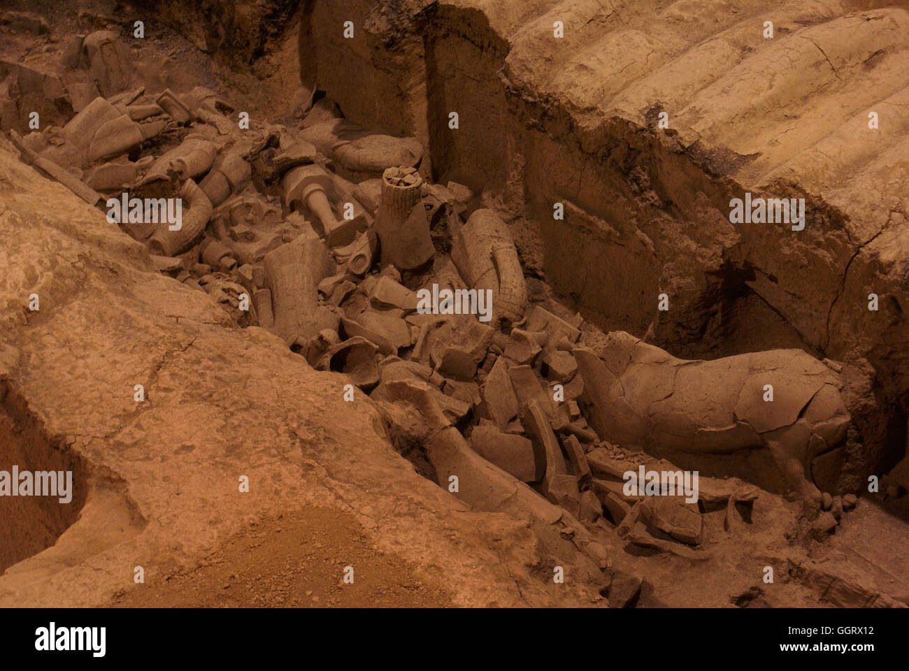 Excavation of a chariot and war horses. The Terracotta Army of the first Emperor of China. Xi'an, Stock Photo