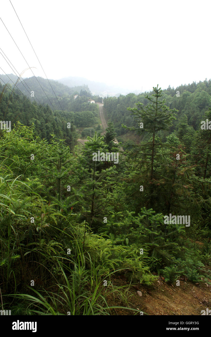 The hilly terrain of the region surrounding Liuyang in Hunan, China is ideal for the location of fireworks factories. Stock Photo