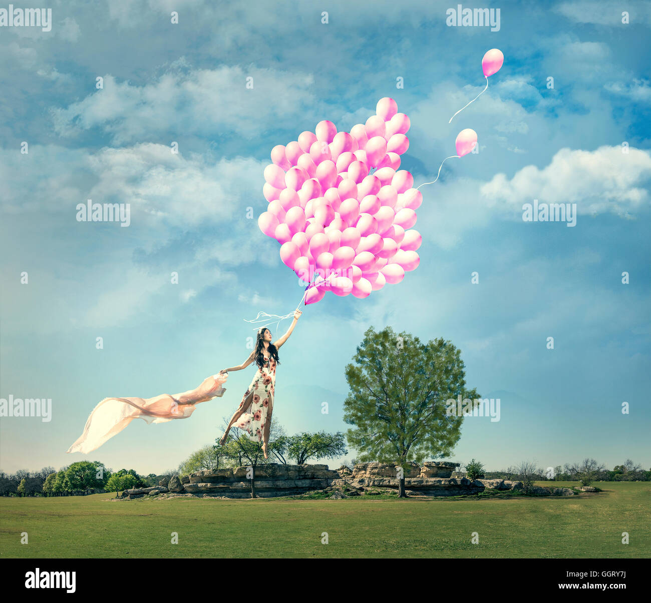 Chinese woman being lifted in field by bouquet of pink balloons Stock Photo