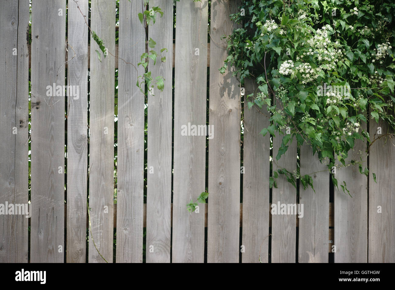 Wood plank fence Stock Photo - Alamy