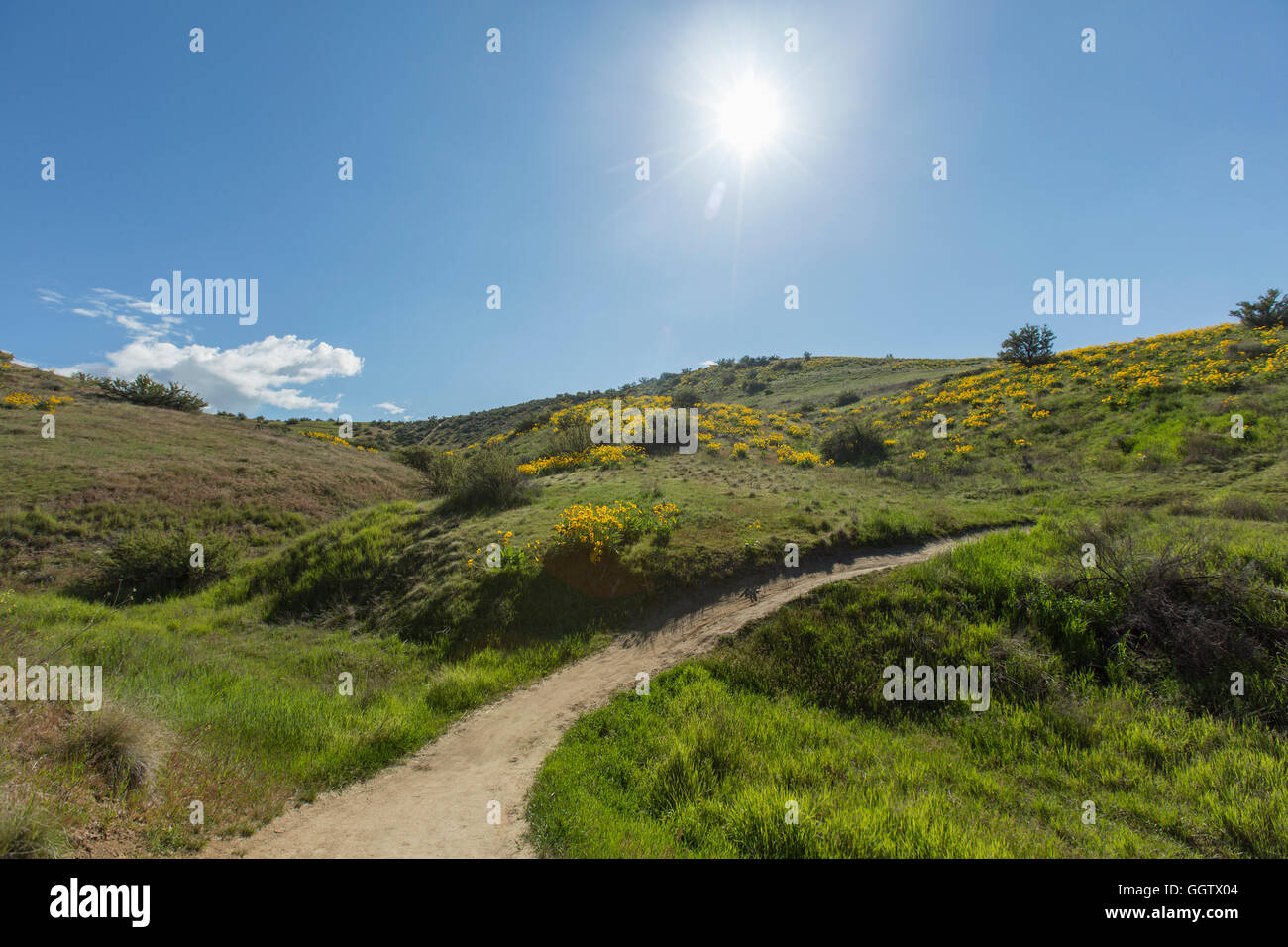 Dirt path in rolling landscape Stock Photo