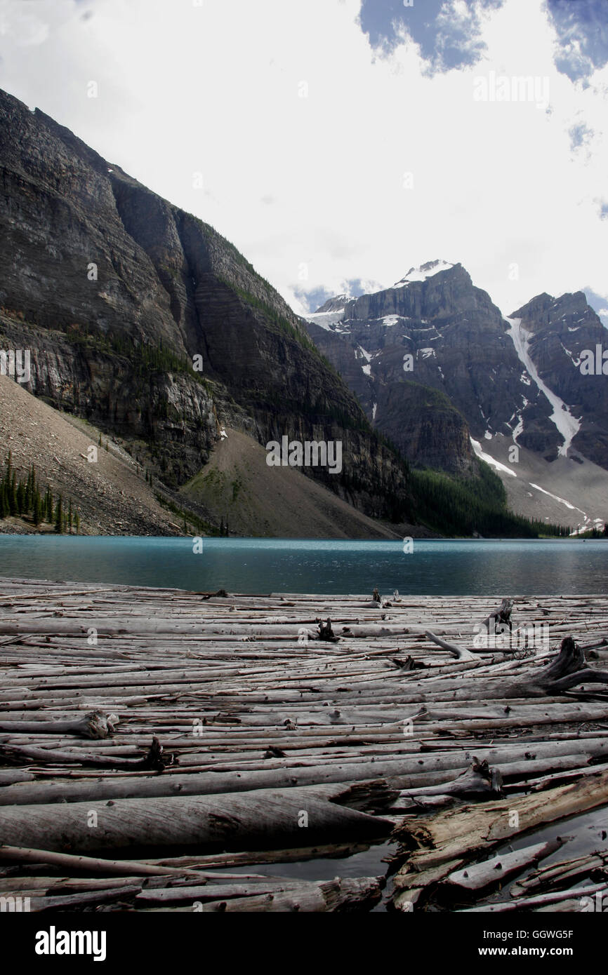 Floating Timber covers the foreground of this spectacular deep blue lake in the Canadian Rockies Stock Photo