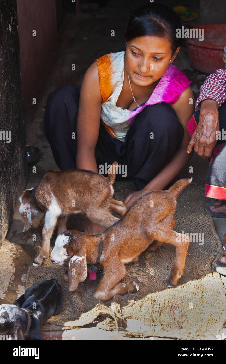 Baby goats are raised in THOKA VILLAGE as a source of milk and meat - KATHMANDU, NEPAL Stock Photo