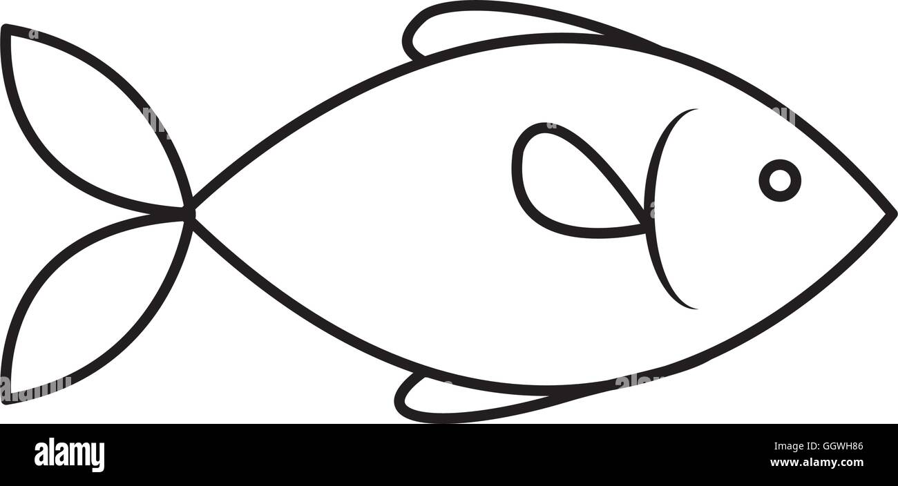 Under Sea Fish Black And White Stock Photos Images Alamy