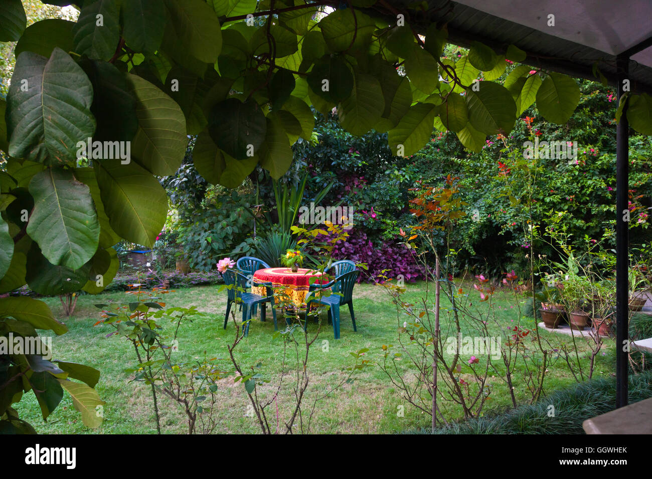 Keshab and Sushma Regmi's garden - KATHMANDU, NEPAL Stock Photo