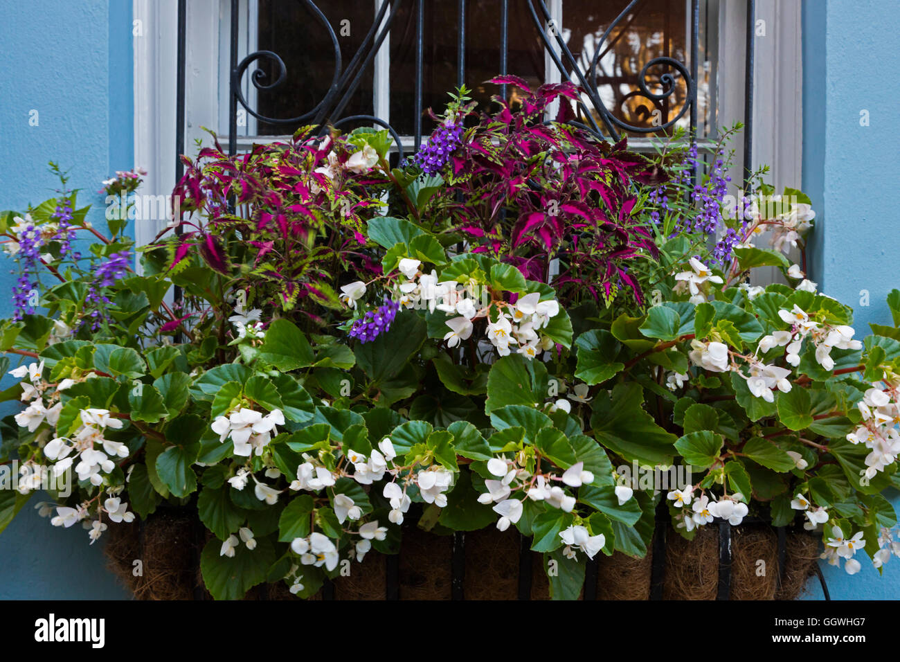 Flower boxes are part of the design of the Southern mansion - CHARLESTON, SOUTH CAROLINA Stock Photo