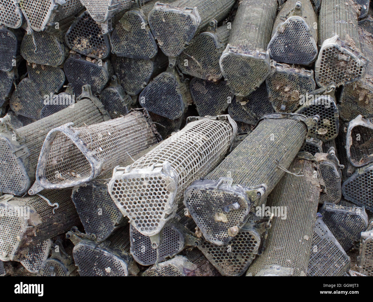Oyster growing cages for culture Stock Photo Alamy