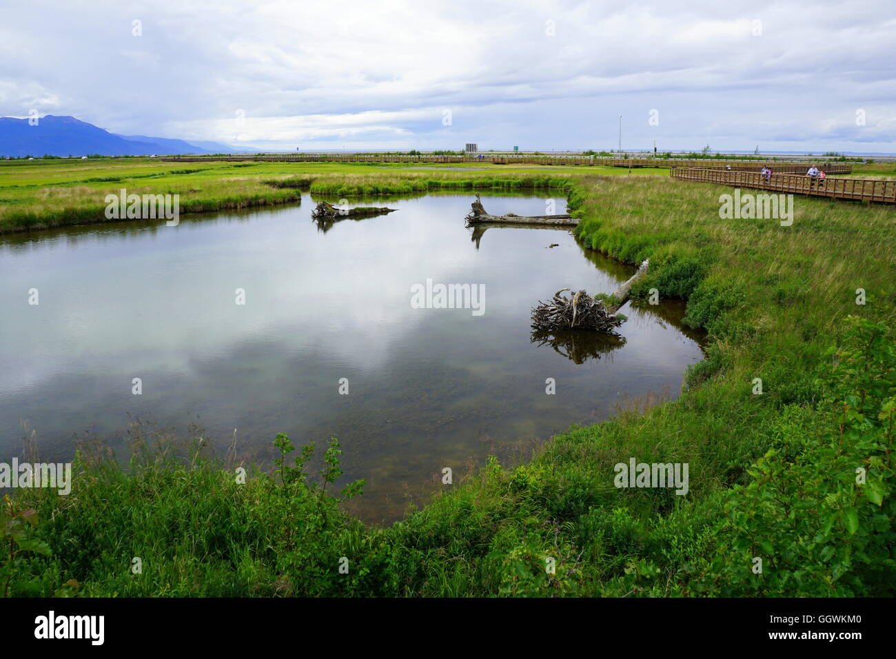 Slough at Potter Marsh Wildlife Viewing Boardwalk in Anchorage, Alaska