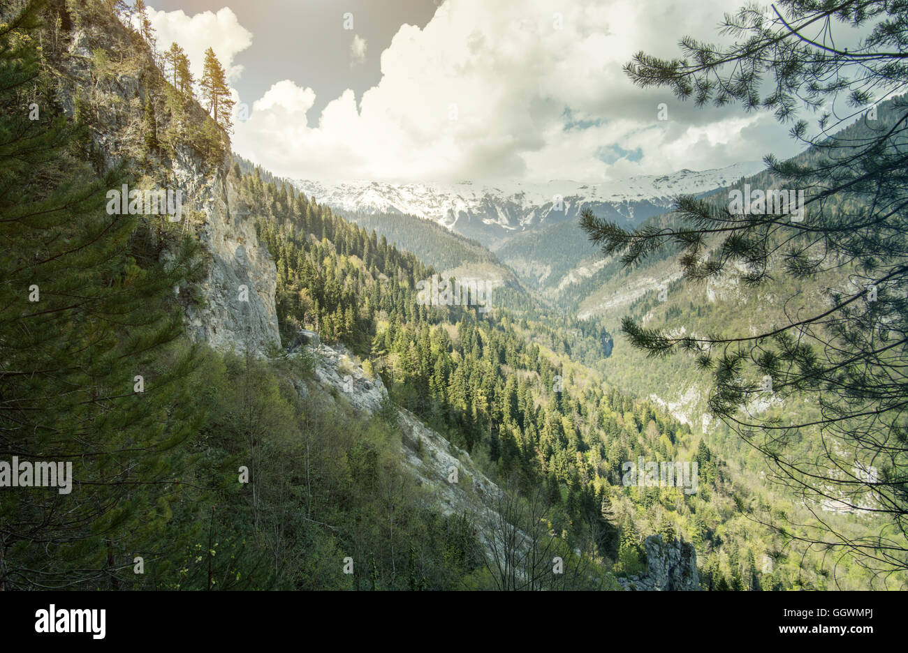 Mountains green forest view hi-res stock photography and images - Alamy