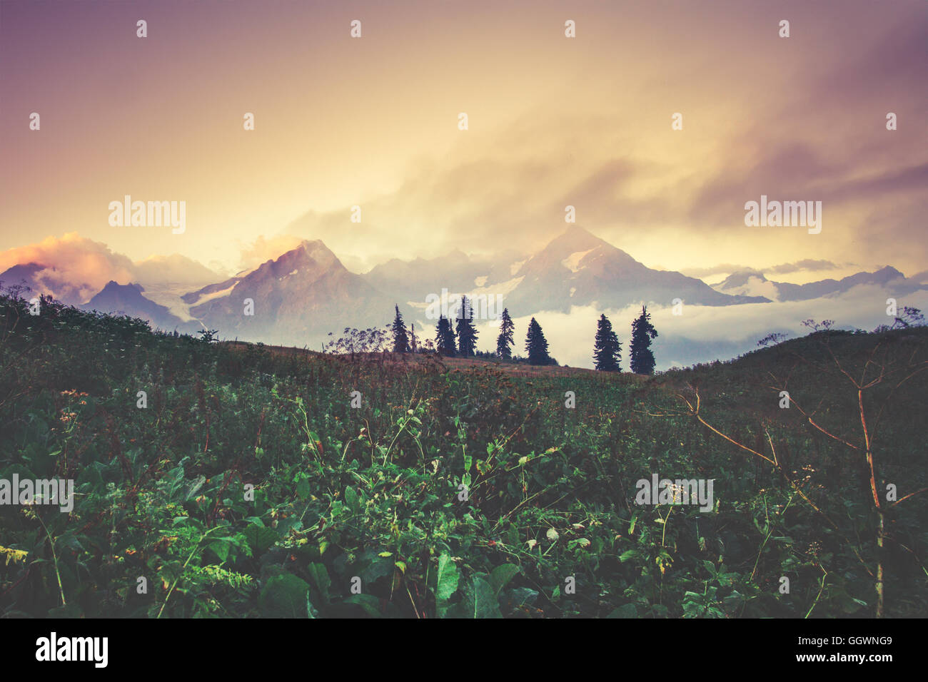 Sunset Mountains beautiful landscape summer travel scenic view Stock ...