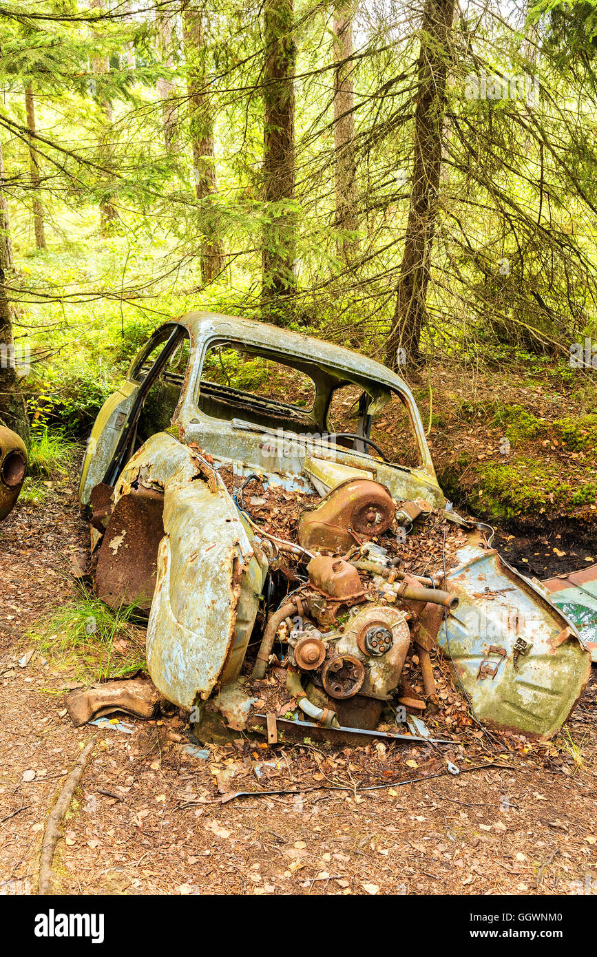Scrap cars woods hi-res stock photography and images - Alamy