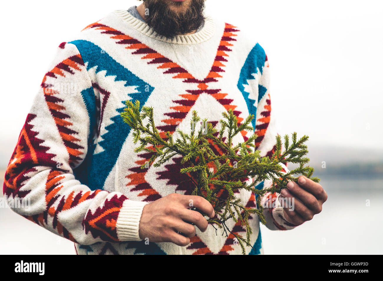 Man hands holding fir tree branch Fashion Travel Lifestyle wearing knitted sweater clothing outdoor foggy nature on background Stock Photo