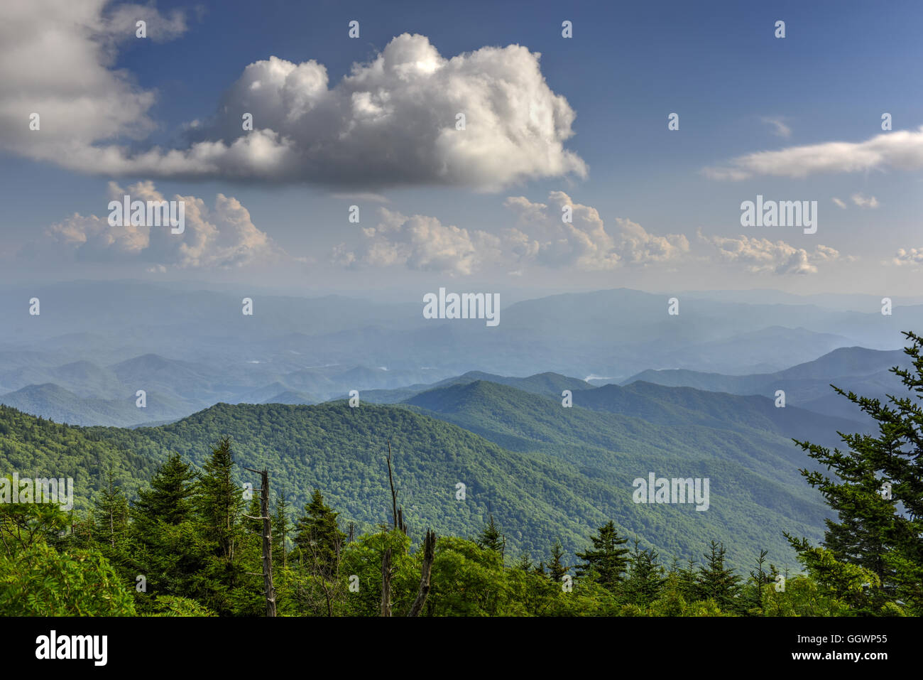 Ancient ridges in the Appalachian Mountains of Great Smoky Mountains National Park, NC, USA. Photo by Darrell Young. Stock Photo
