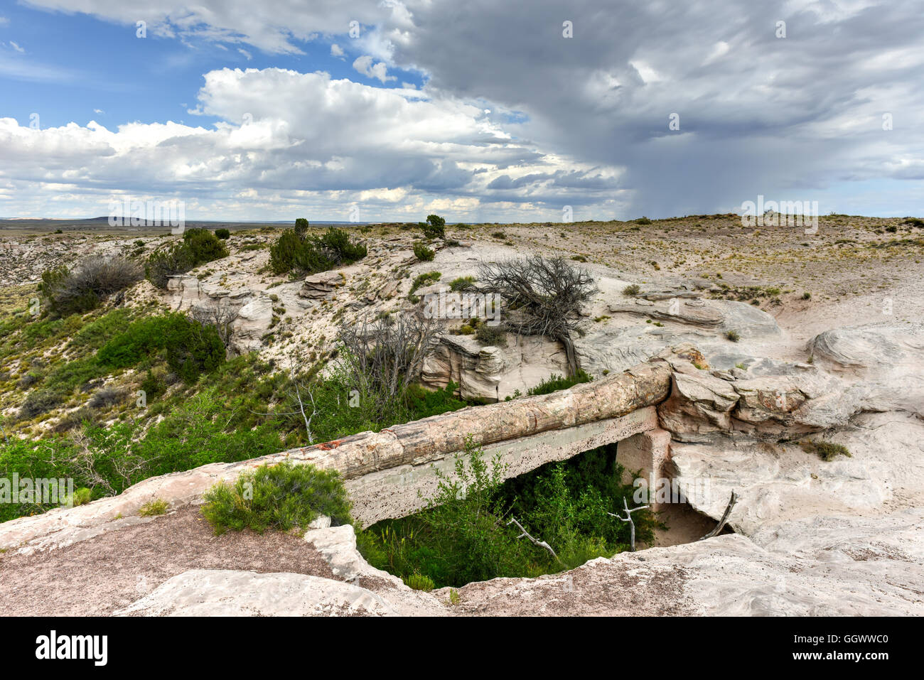 Agate Bridge in Petrified Forest National Park. It is a petrified log that spans a sandstone wash. Stock Photo