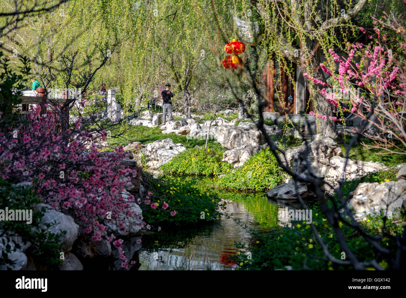 Beautiful scene of a river surrounded by Chinese Architecture Stock Photo