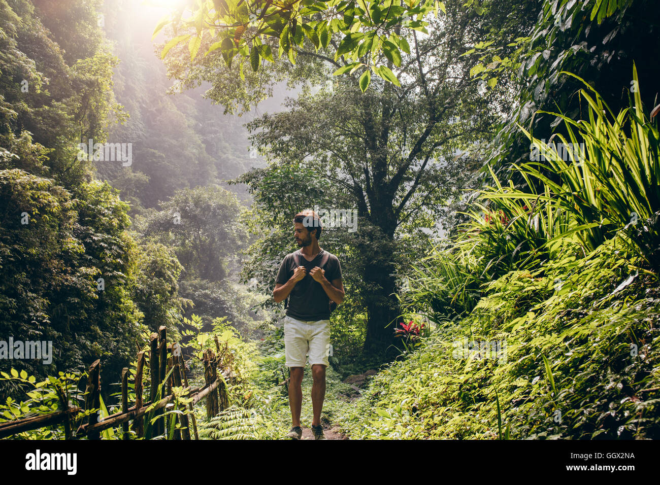 Outdoor shot of young male hiker hiking in lush rainforest. Caucasian man hiking in woods looking away. Stock Photo