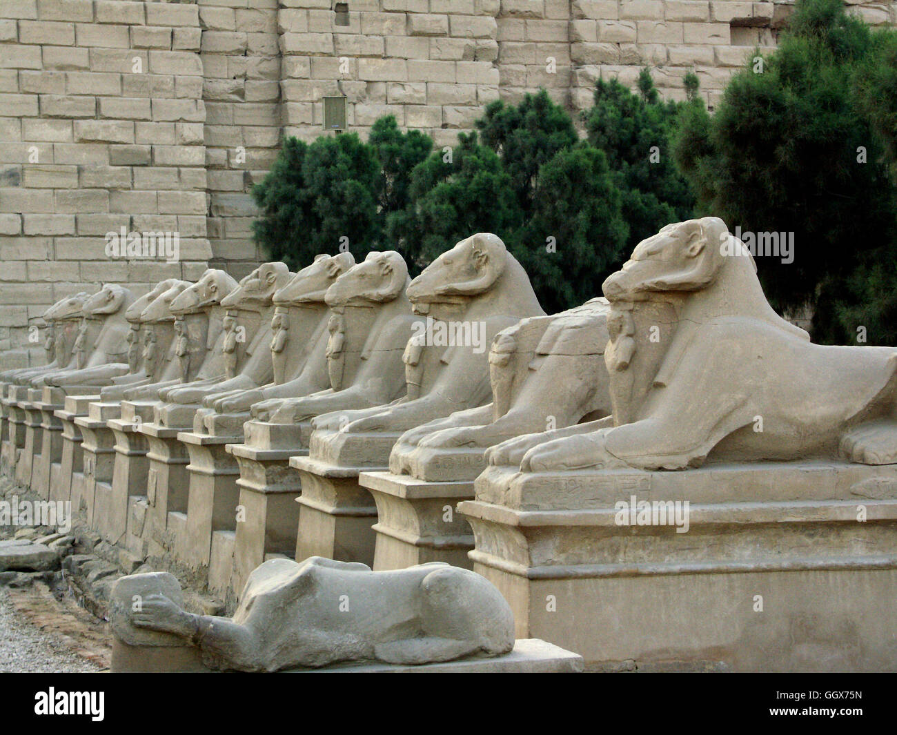 The avenue of rams-headed sphinxes at the entrance to the Temple of Karnak in Luxor – Egypt. Stock Photo